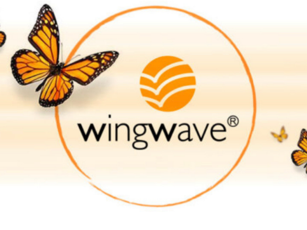 POSTANITE WINGWAVE® KOUČ uživo wingwave trening Dr Vesna Danilovac